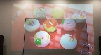 What is Projector Lens Shift?
