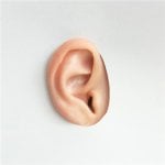 Epson projector No Sound Troubleshooting