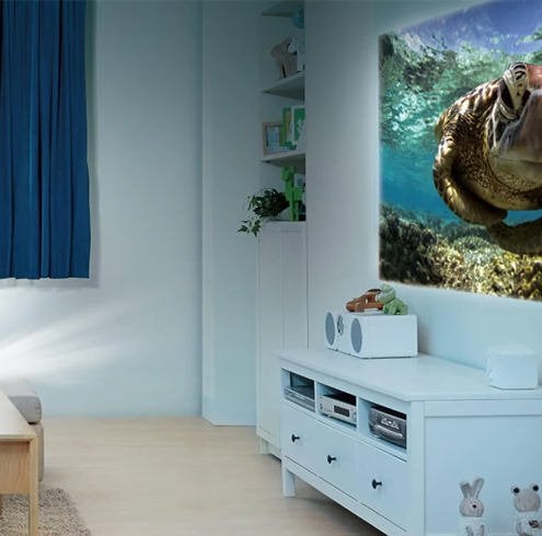 BenQ HT2050A Projector Can’t Detect 3D Signal Troubleshooting